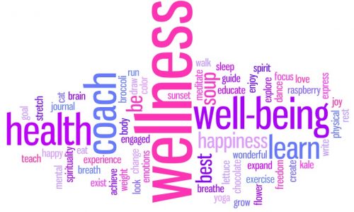 wellness coach