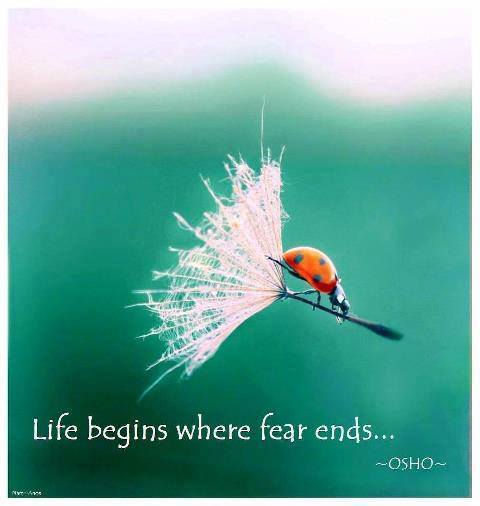 fear