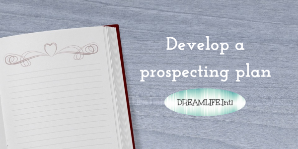 develop a prospecting plan