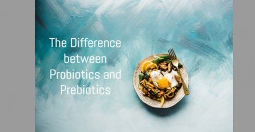 the difference between Probiotics and Prebiotics