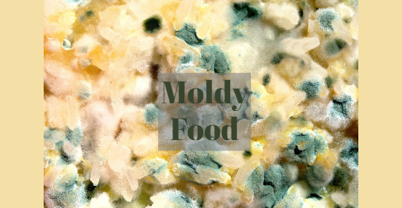 Moldy Food