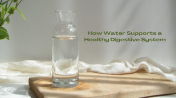 How Water Supports a Healthy Digestive System